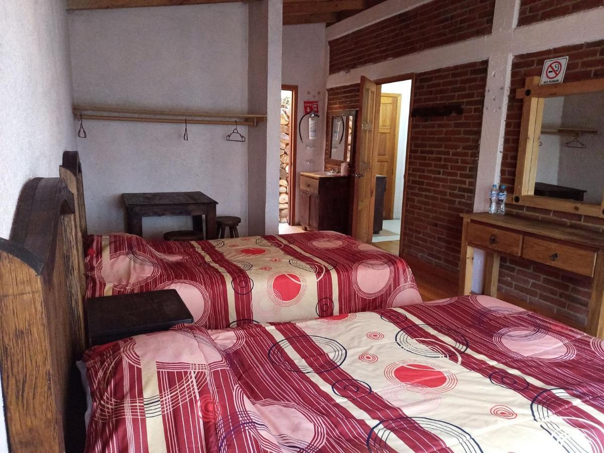 Cabanas Los Bosques Del Zembo Huasca de Ocampo Exteriör bild