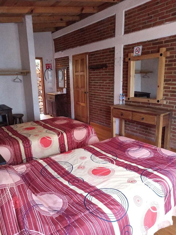 Cabanas Los Bosques Del Zembo Huasca de Ocampo Exteriör bild