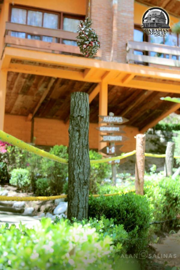 Cabanas Los Bosques Del Zembo Huasca de Ocampo Exteriör bild