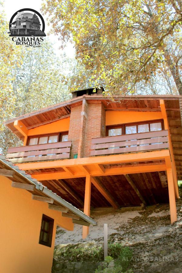 Cabanas Los Bosques Del Zembo Huasca de Ocampo Exteriör bild