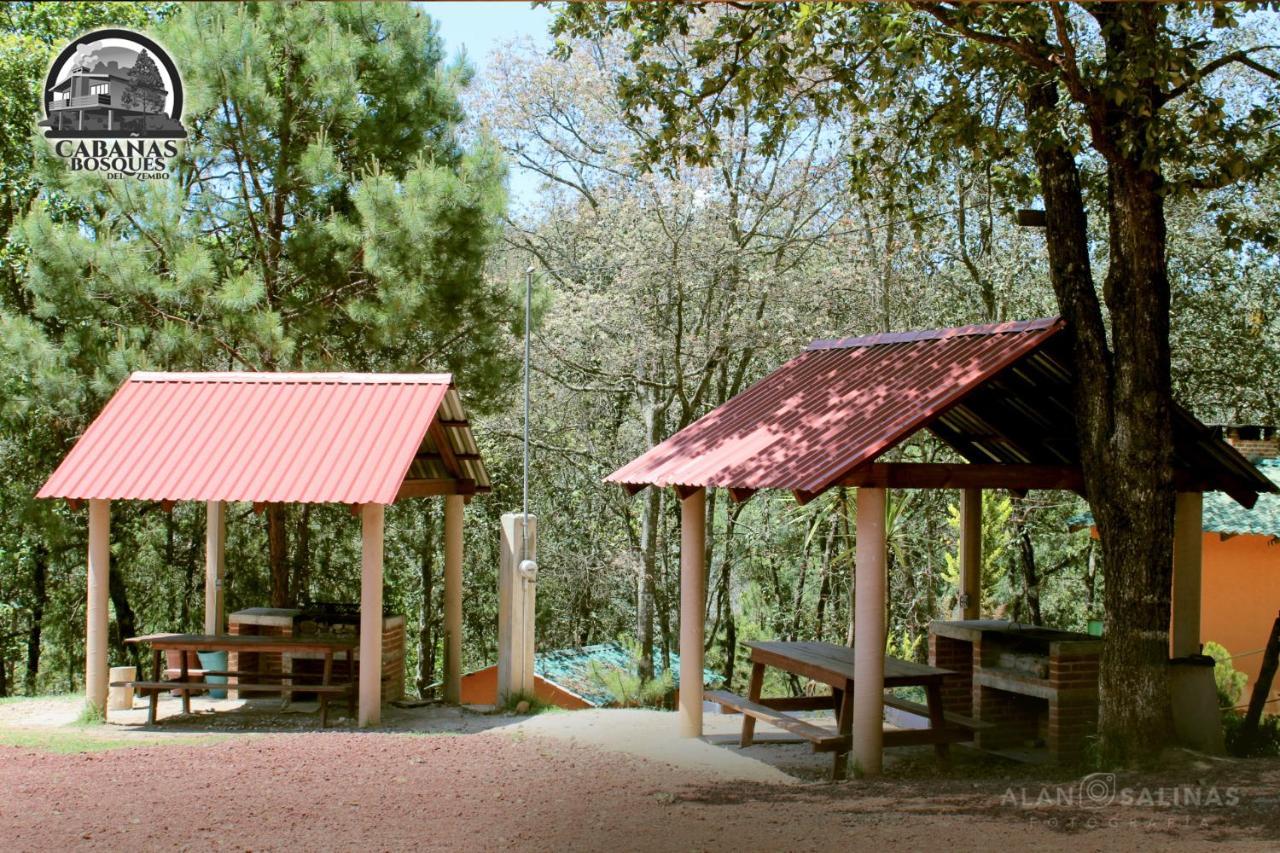 Cabanas Los Bosques Del Zembo Huasca de Ocampo Exteriör bild