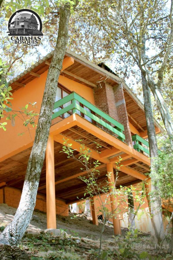 Cabanas Los Bosques Del Zembo Huasca de Ocampo Exteriör bild