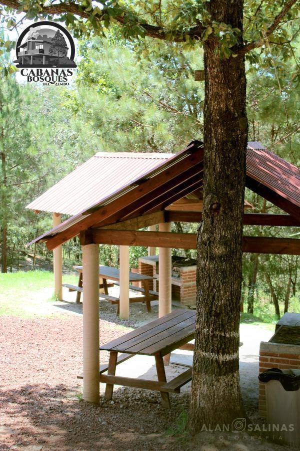 Cabanas Los Bosques Del Zembo Huasca de Ocampo Exteriör bild