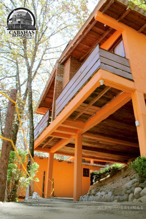 Cabanas Los Bosques Del Zembo Huasca de Ocampo Exteriör bild