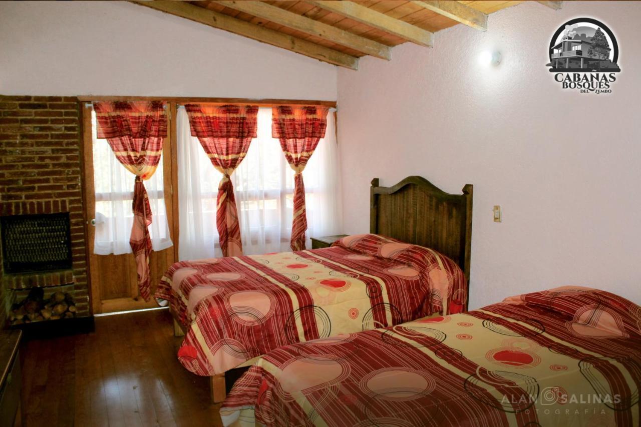 Cabanas Los Bosques Del Zembo Huasca de Ocampo Exteriör bild