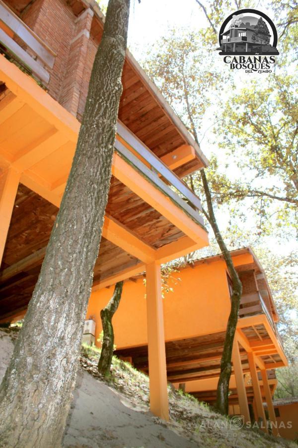 Cabanas Los Bosques Del Zembo Huasca de Ocampo Exteriör bild