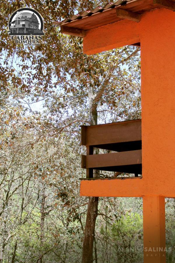 Cabanas Los Bosques Del Zembo Huasca de Ocampo Exteriör bild