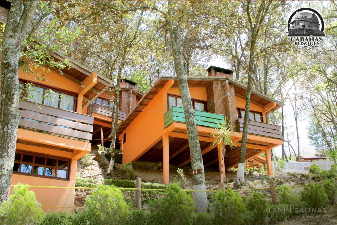 Cabanas Los Bosques Del Zembo Huasca de Ocampo Exteriör bild