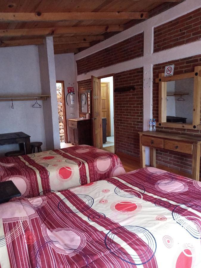 Cabanas Los Bosques Del Zembo Huasca de Ocampo Exteriör bild