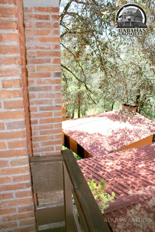 Cabanas Los Bosques Del Zembo Huasca de Ocampo Exteriör bild