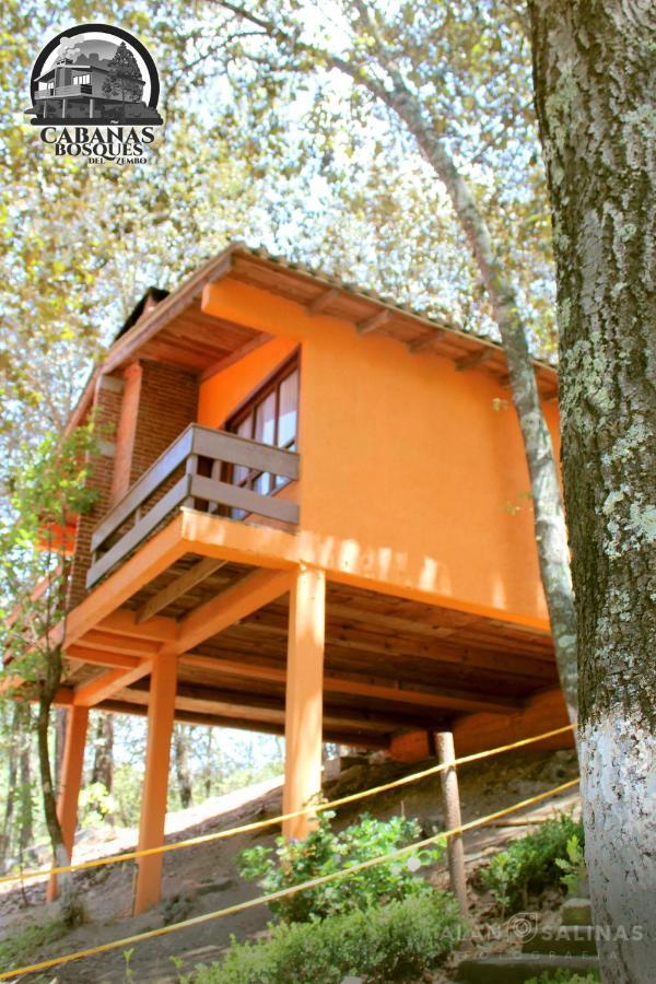 Cabanas Los Bosques Del Zembo Huasca de Ocampo Exteriör bild