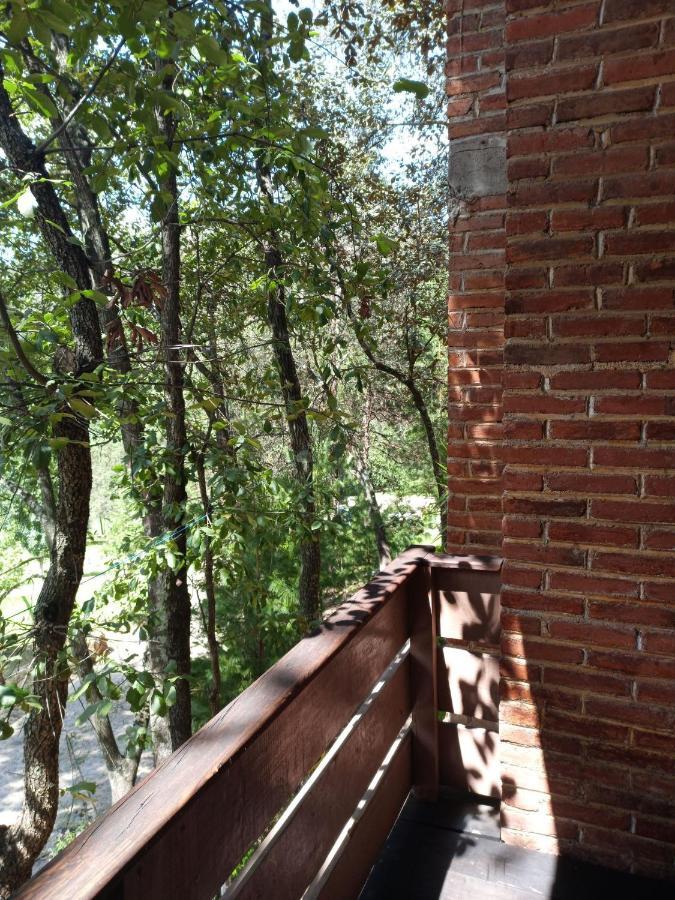Cabanas Los Bosques Del Zembo Huasca de Ocampo Exteriör bild